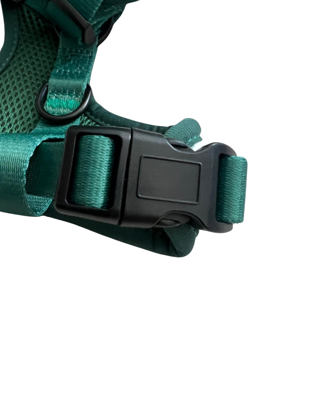 Daffodil Days Adjustable Harness