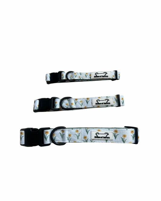 Daffodil Days Collar