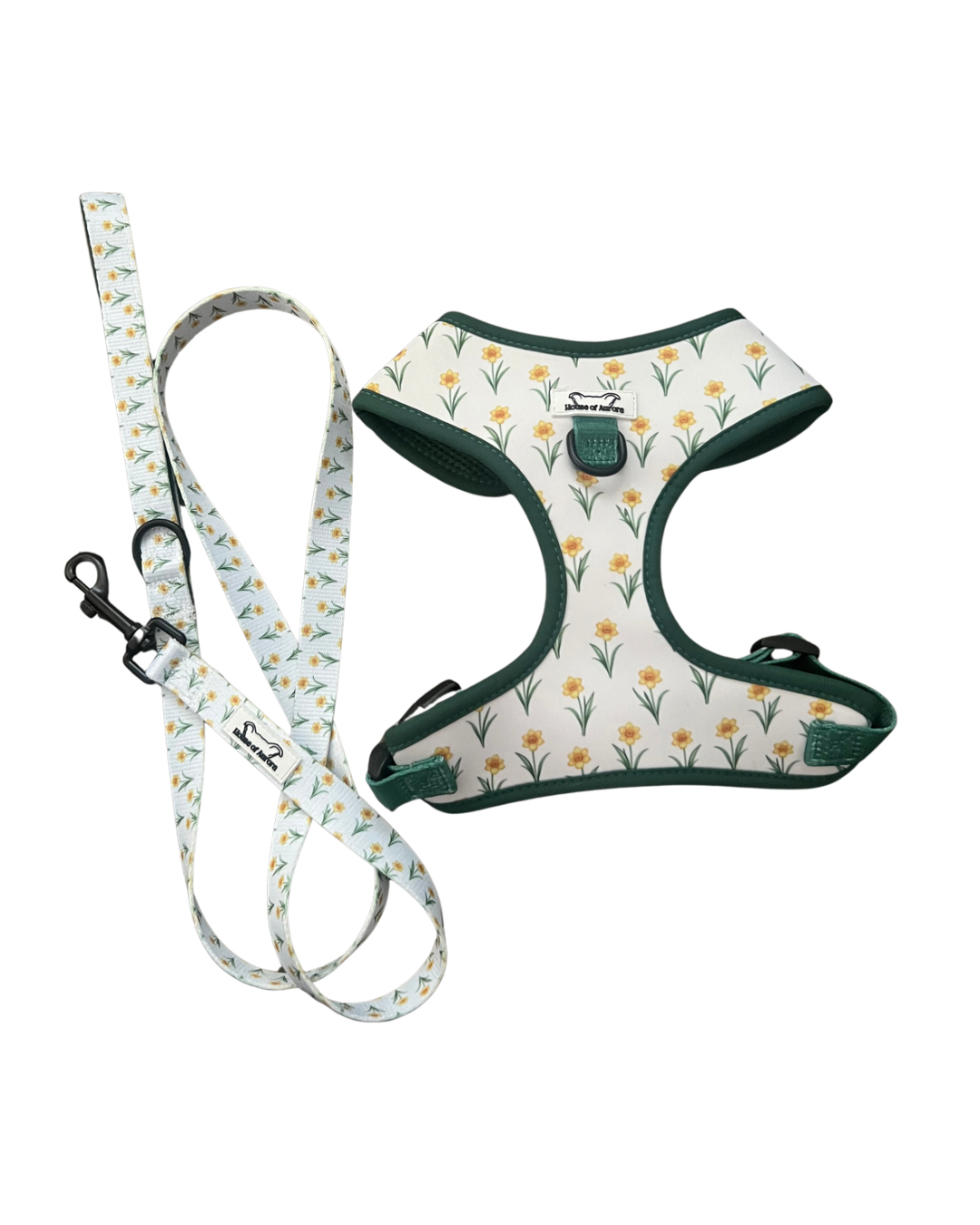 Walkies Set