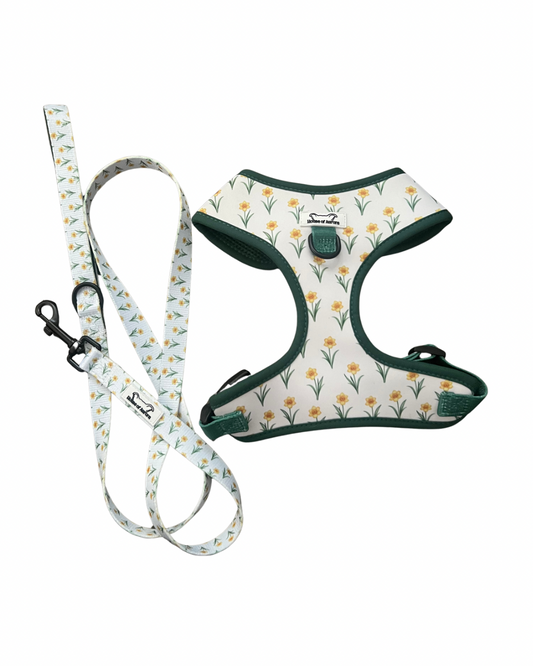 Walkies Set